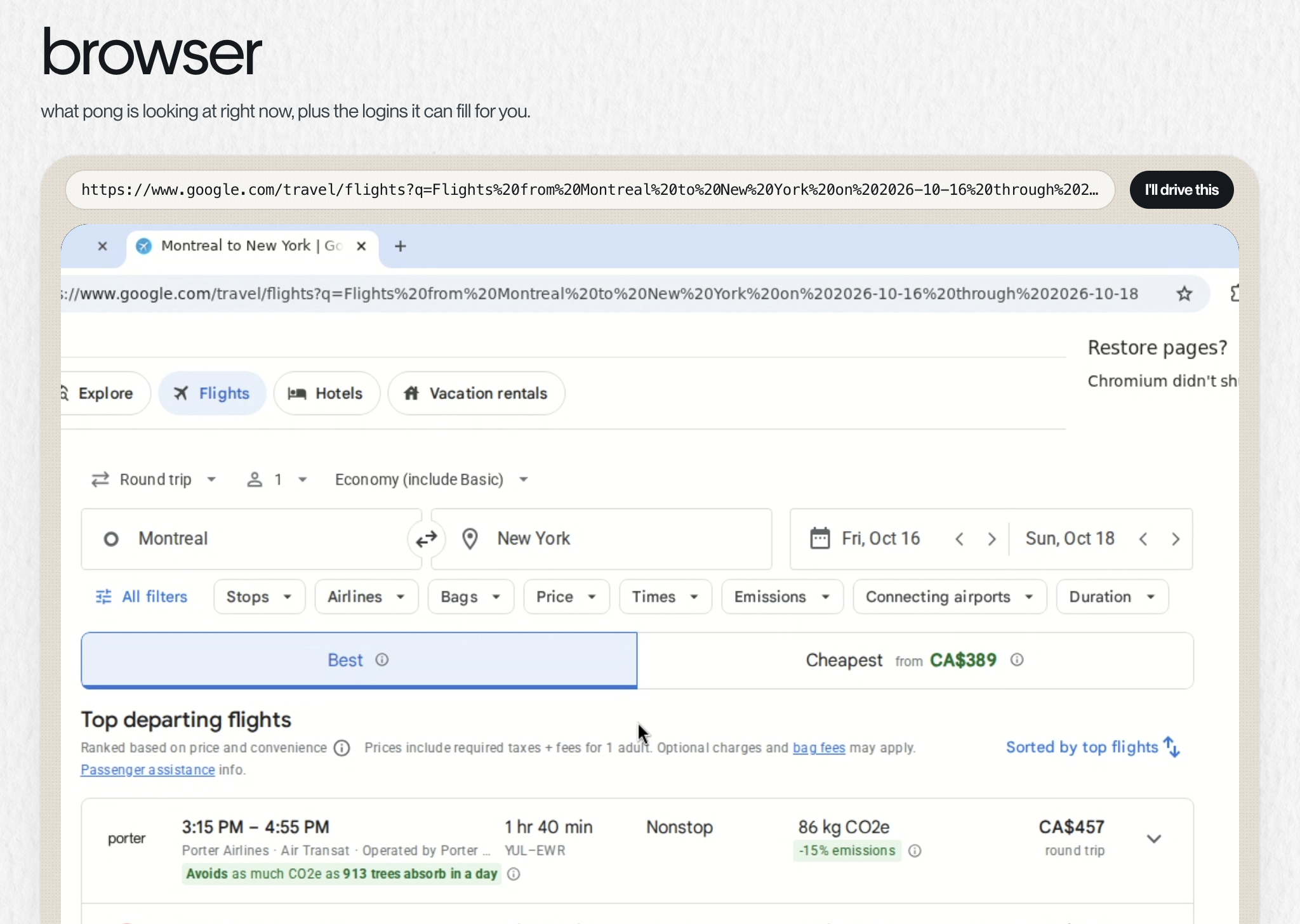 The browser page with pong's live view